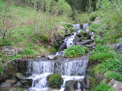 Vébrův potok - stupně z drátokosu již zarostlé vegetací