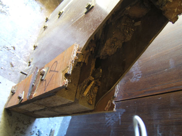 Obr. 6. Detail degradovan devn hmoty uvnit vaznku