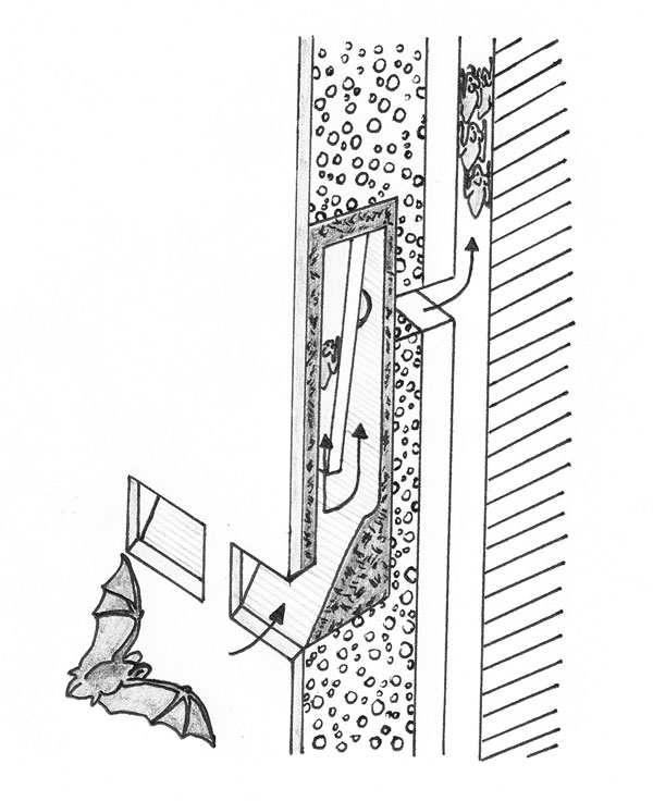 Obr. 5. Nákres instalace budky s průlezným otvorem v zadní stěně