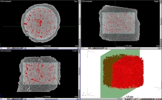 Obr. 2 Rekonstrukce pórového prostoru (červeně) rentgenovou mikrotomografií pískovce z lokality Havlovice-Krákorka (převzato z [1])