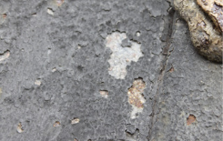 Obr. 05b Dvee hlavnho portlu, stratigrafie (foto: Radka Levnsk)